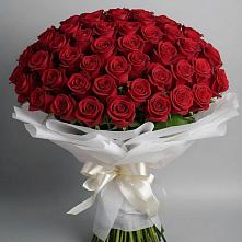 Букет 101 Красная роза Блэк Мэджик в Южно-Сахалинске