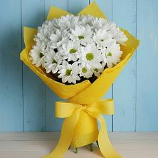Букет цветов из:  Хризантемы в Южно-Сахалинске