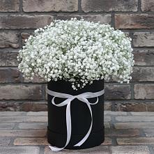 Цветочная композиция из Гипсофила в шляпной коробке в Южно-Сахалинске