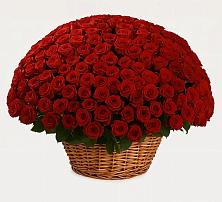 Премиум букет из: Розы в Южно-Сахалинске